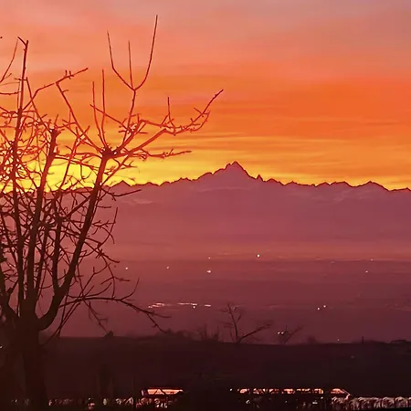 Just Langhe Casa Dolcetto * Novello