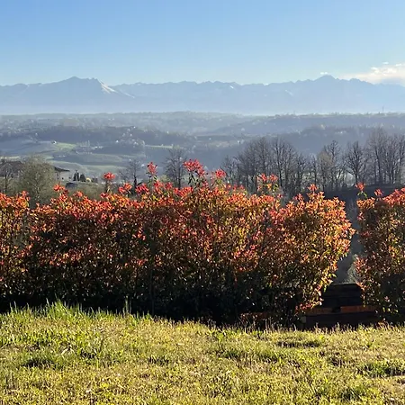 Just Langhe Casa Dolcetto * Novello