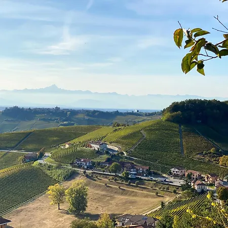 Just Langhe Casa Dolcetto Novello