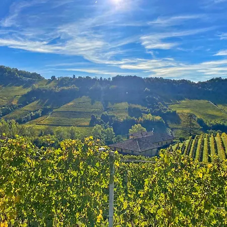 Just Langhe Casa Dolcetto