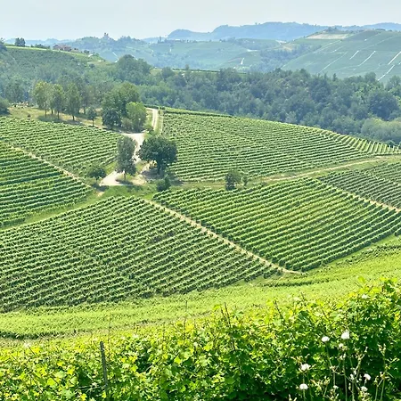 Just Langhe Casa Dolcetto Willa